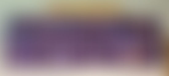 Monarch's First Ever Virtual Battle of the Books!!