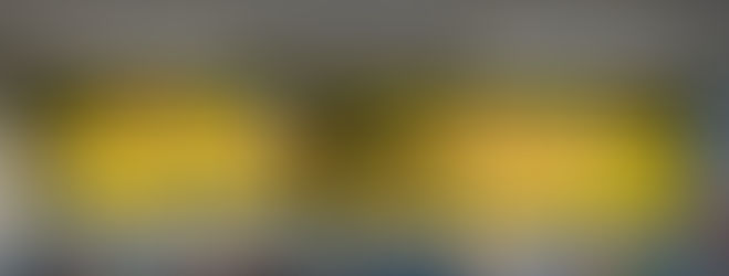 Welcome Back Monarchs!!