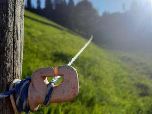 Frühling? Bist du schon da?