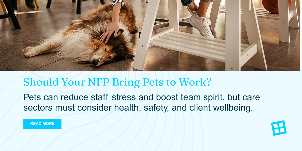Dog relaxing under a desk, being petted. Text discusses bringing pets in the workplace for reducing stress and improving team spirit. Calm atmosphere.