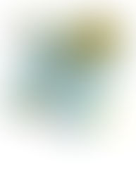 SOLAR SKILLS TRAINING