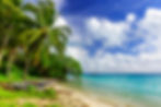 A beautiful tropical beach with clear water and palm trees