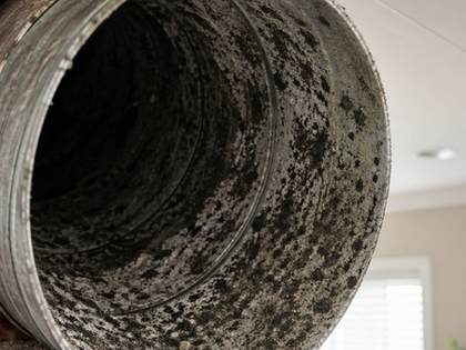 Mold inside HVAC air ducts requiring professional air duct cleaning in Coachella Valley