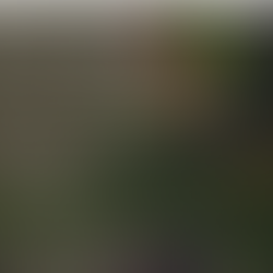 Fighting Disease was God's Idea