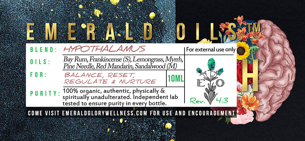 Thumbnail: Hypothalamus