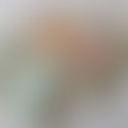 Prominutí zálohy na daň z příjmu splatné k 15. 6. 2020