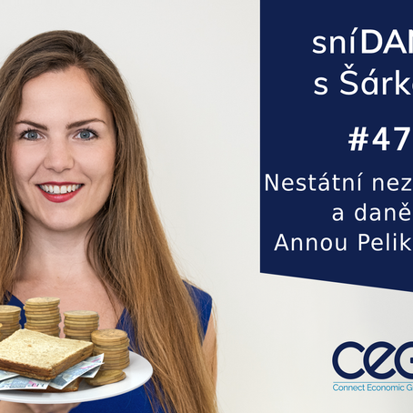 Podcast SníDANĚ s Šárkou: Nestátní neziskovky a daně s Annou Pelikánovou
