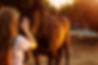 equine therapy.jpg