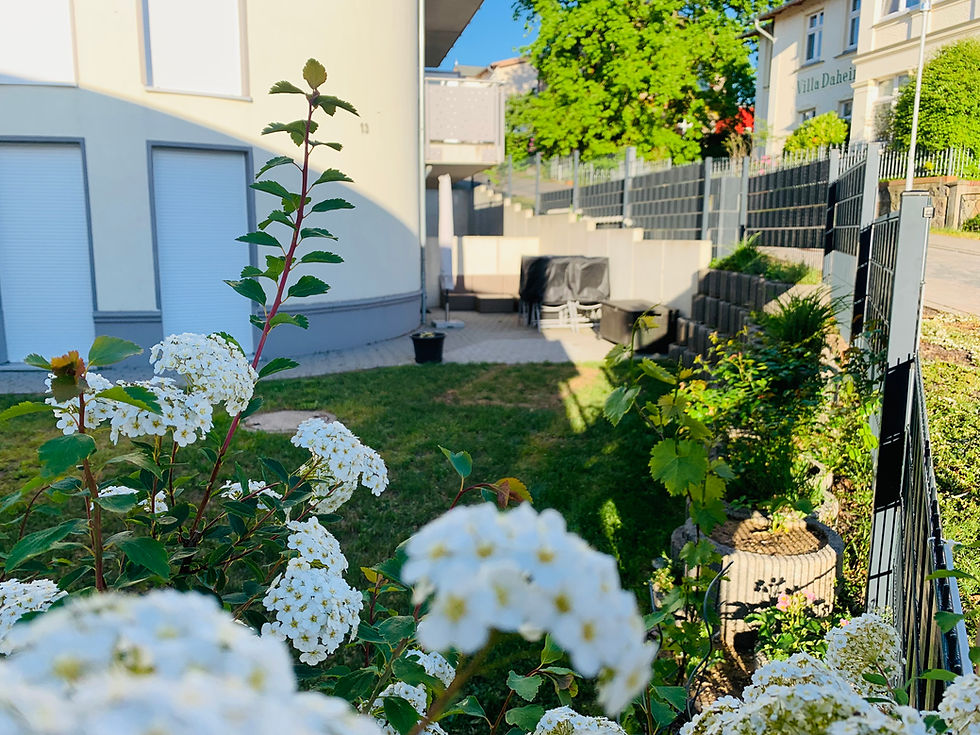 Garten Ferienwohnung Annabelle Zinnowitz