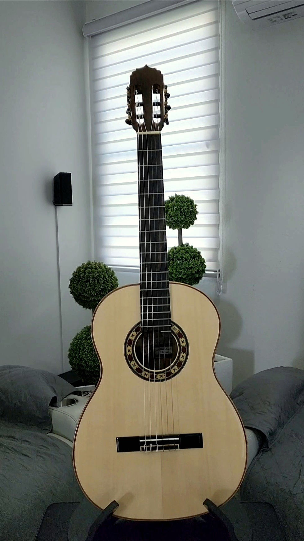 Thumbnail: Guitarra en Black Limba y tapa en Abeto