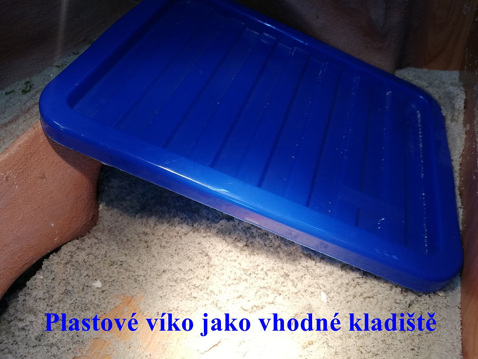 Plastová skrýš