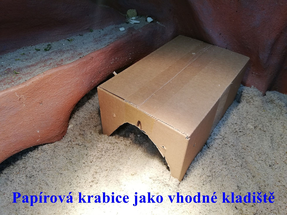 Papírová skrýš
