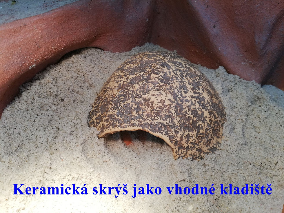 Keramická skrýš