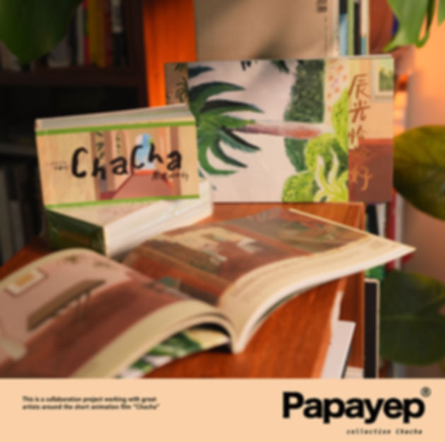 Chacha art book+flip book