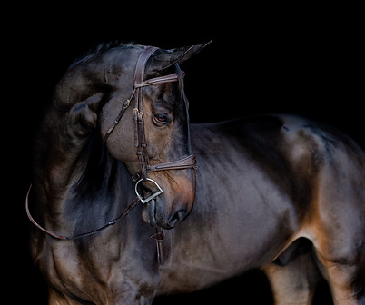 Keri-Ann Walker-6.jpg