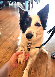 paul stanley_edited_edited_edited.jpg