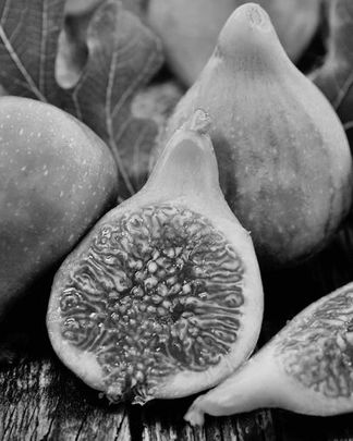 Fichi, sapore di abbandono