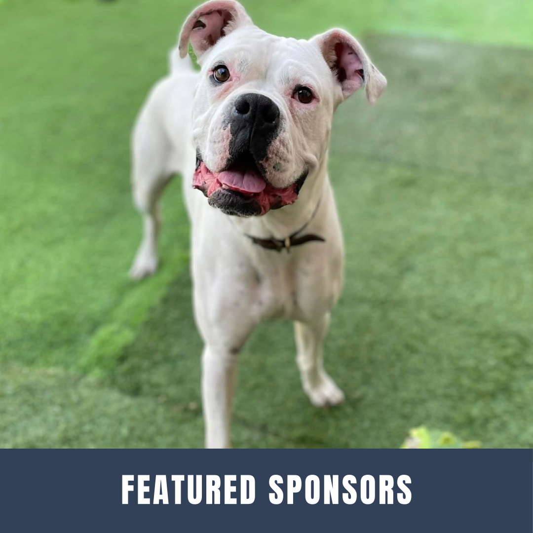 Featured Sponsors