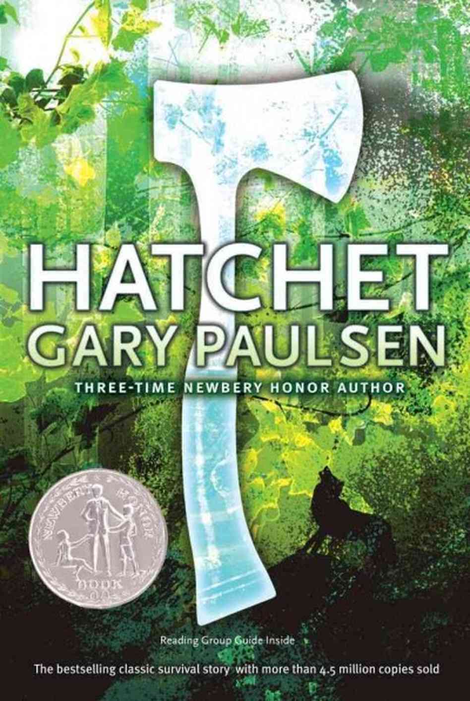 Hatchet book pic.gif