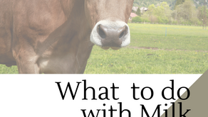 What to do with Milk Before it Expires