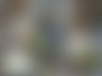 2004 Olympic Gold Medal Plaque - Kevin Burnham & Paul Foerster