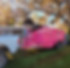 Pink It Up Dumpsters