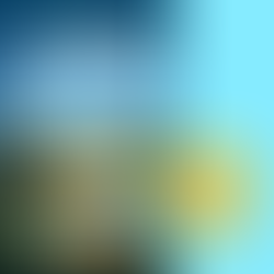 BCPL Staff Review 2-19-25