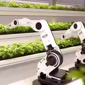 Suman 618 las empresas agrifoodtech en América Latina hispanohablante y el Caribe
