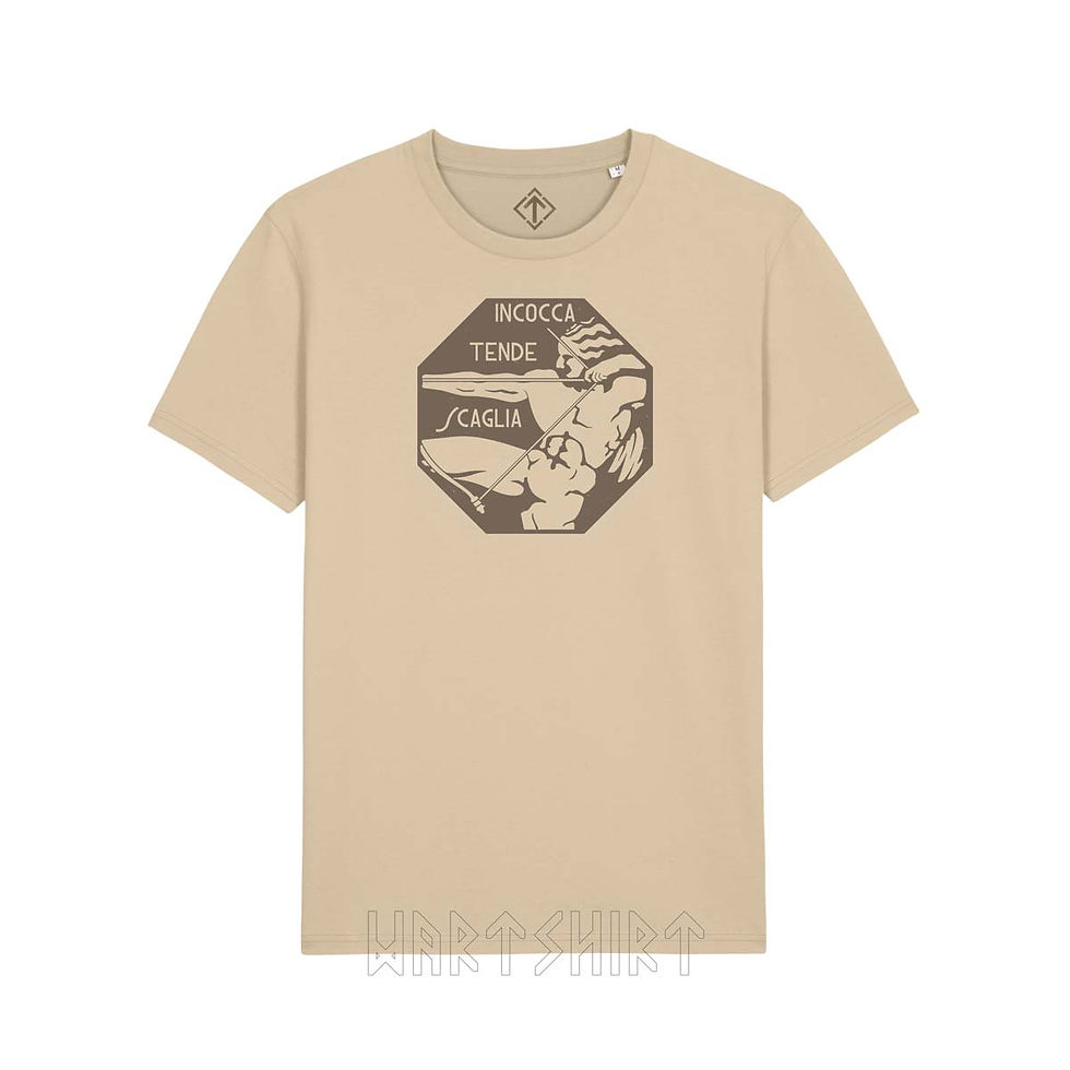 Miniatura: 1° Stormo Caccia