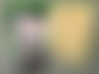 Drone Beach Guard Flyer