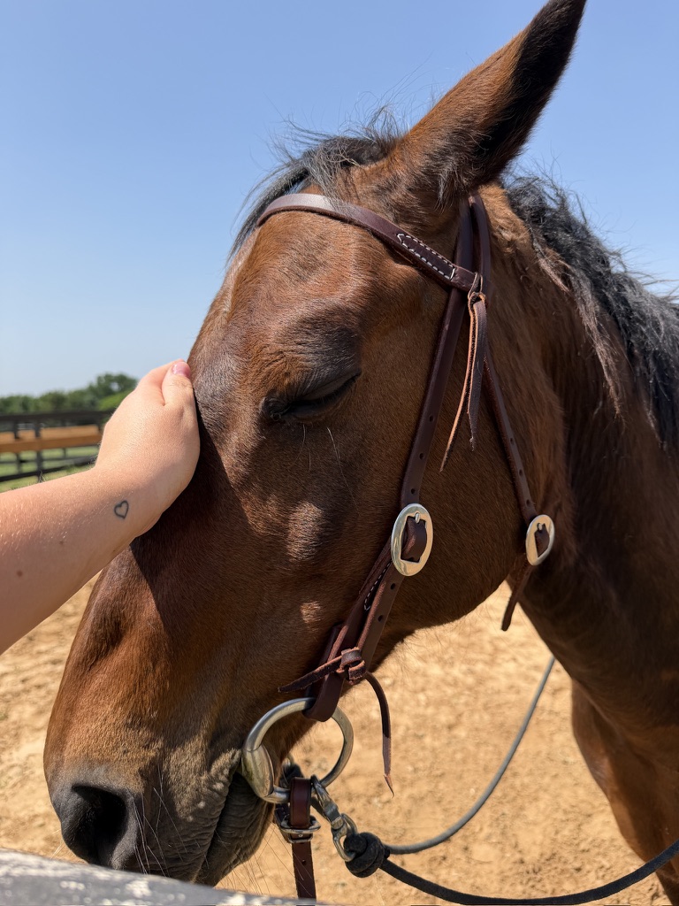 Sweet boy. We are getting more familiar with each other & building a relationship.