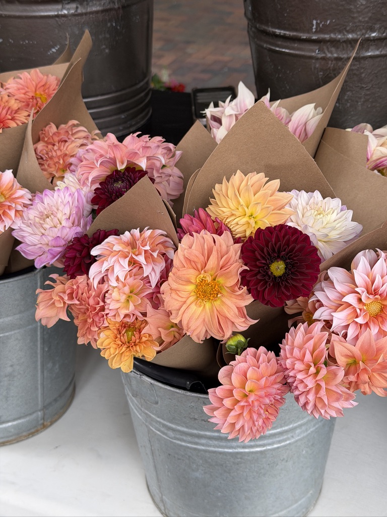 Gorgeous flowers at the farmers market. Love a Saturday morning farmers market.