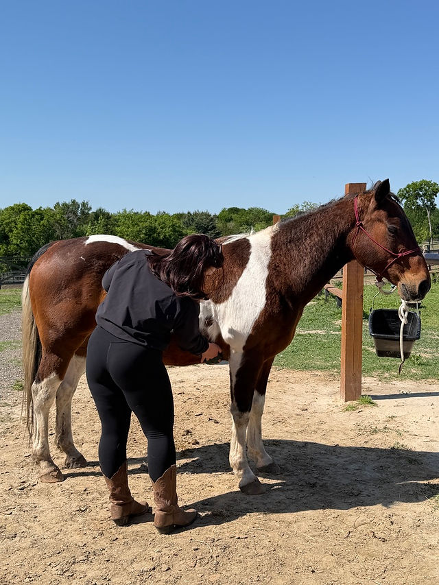 Grooming my guy, Daryl. I had long riding sessions to capitalize on the good weather in April.