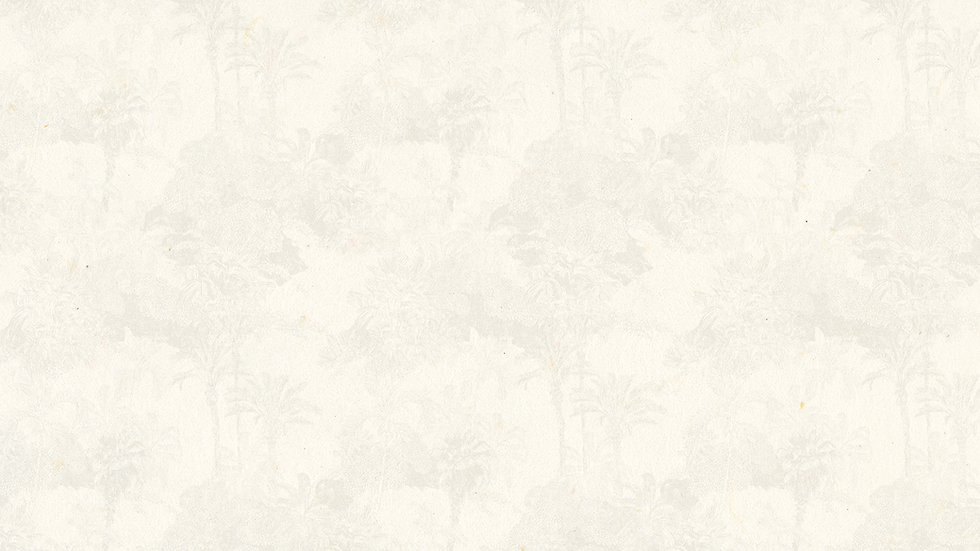 beige.png