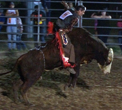 DSC02364DM30