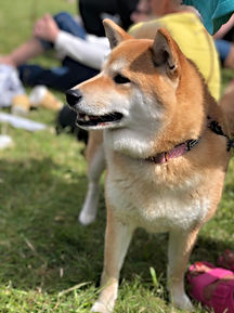 Image credit: Ali Marques 287588322_5037514859636722_1667957575667260422_n.jpg