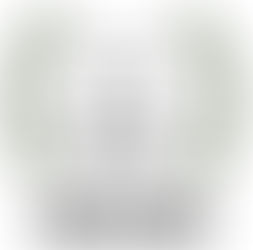 Vinterpatrull, liga 2018-2019