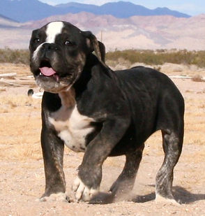 IMG_6222 (2)_edited.jpg