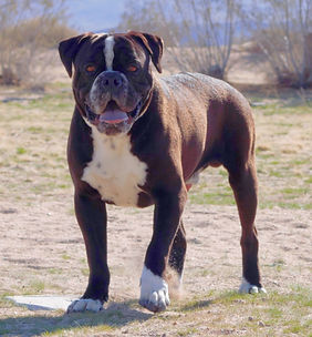 IMG_2388 (2)_edited.jpg