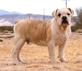 IMG_6639 (2)_edited.jpg