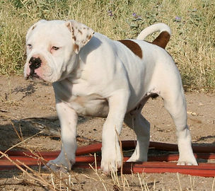 IMG_2164 (2)_edited.jpg