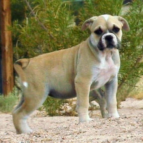 IMG_6790 (2)_edited.jpg