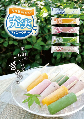 ちっちゃいけど充実アイスキャンディ24本アソートセット