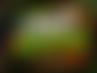 fiber maxxing title centered text, with various tasty fiber-foods in a bowl as background.