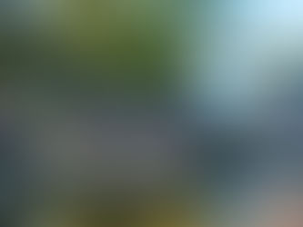 An Alabama RV Resort EVERYONE Can Enjoy (even those without an RV)