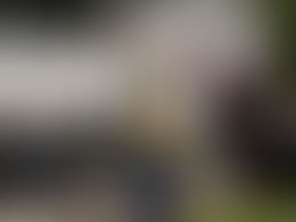 Come Home with a Story - The Swindles