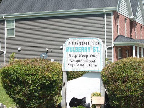 Mulberry Garden