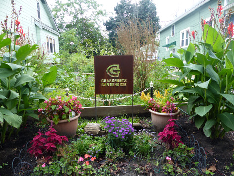 Hutchinson Garden