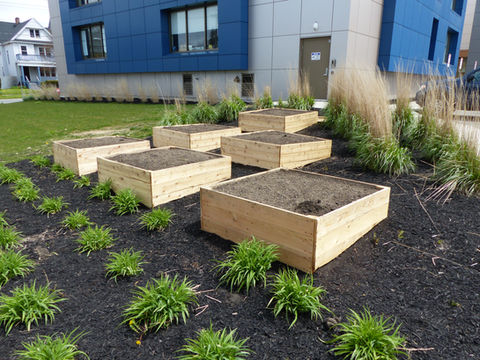 A food producing school garden located at West Buffalo Charter School.