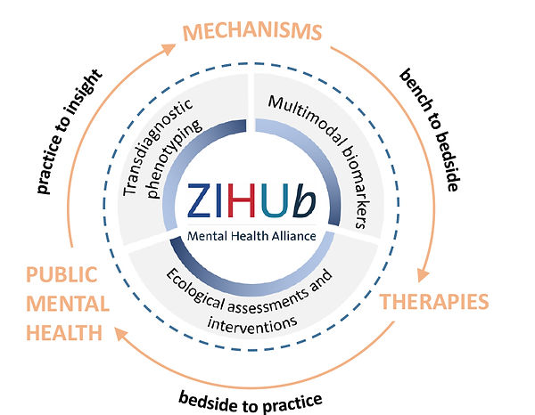 DZP_overview_figure.jpg
